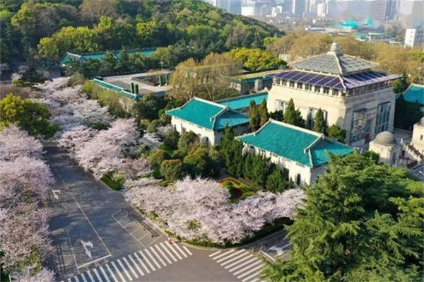 武漢大學(xué)最好的專業(yè)是哪個?