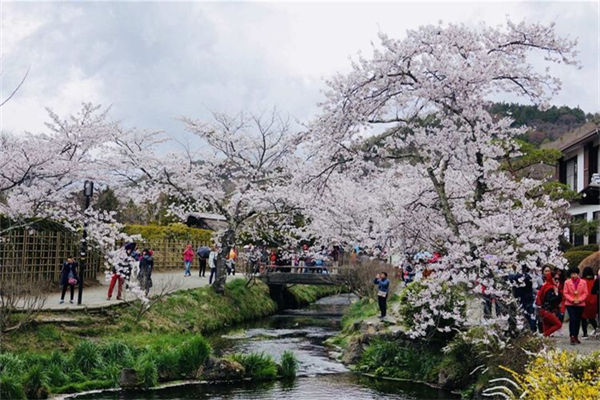 去日本必買的東西有哪些?