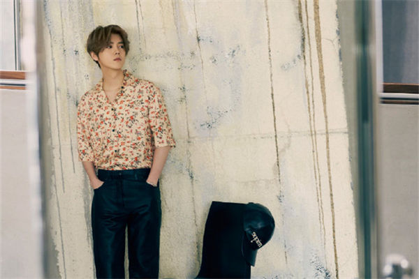 什么是鹿晗效應?鹿晗家庭背景如何?