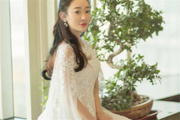 嚴藝丹抄襲事件是什么?