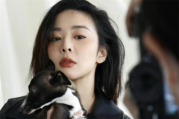 高葉的老公是誰?高葉狂飆后首部電視劇是什么?