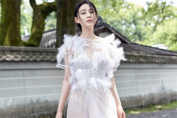 張馨予老公是誰?張馨予黑歷史有哪些？