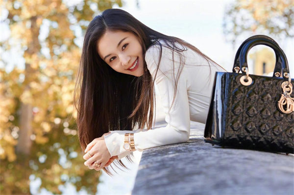 王子文老公是誰?賈乃亮王子文什么關系?