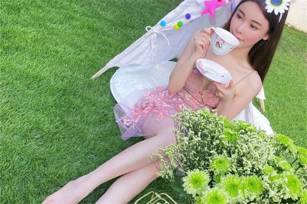 蔡天鳳為什么被殺?蔡天鳳案件始末是什么?