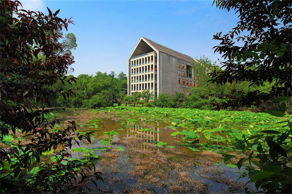 報(bào)考大專學(xué)歷需要什么條件?