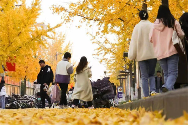 安徽二本院校有哪些?