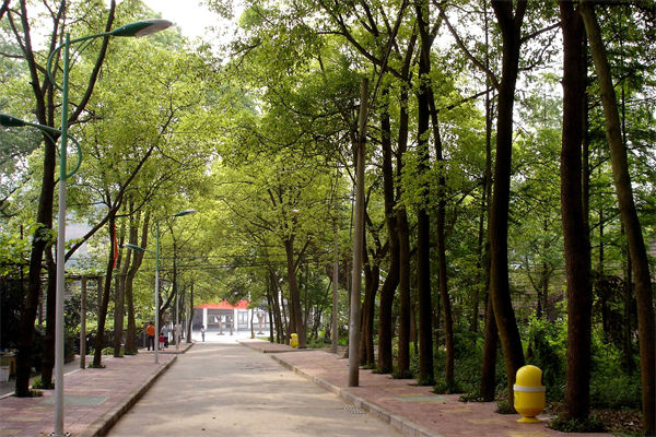 長沙二本大學有哪些?