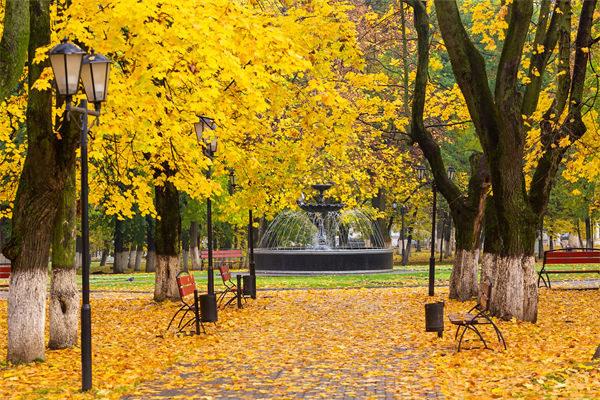 自考本科可以考公務(wù)員嗎?