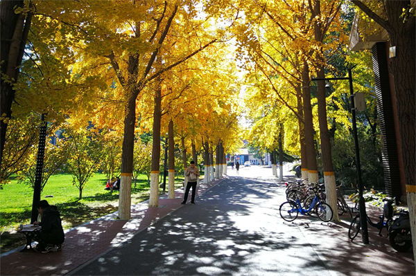 470分理科能上什么大學?