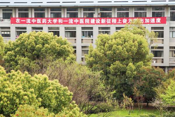 湖北中醫藥大學是一本還是二本?