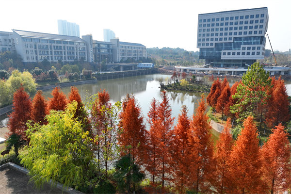 南華大學屬于什么檔次?