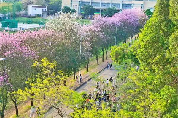 民辦大學和公辦大學有什么區別?