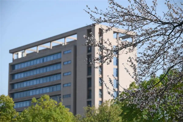 3本院校排名如何?