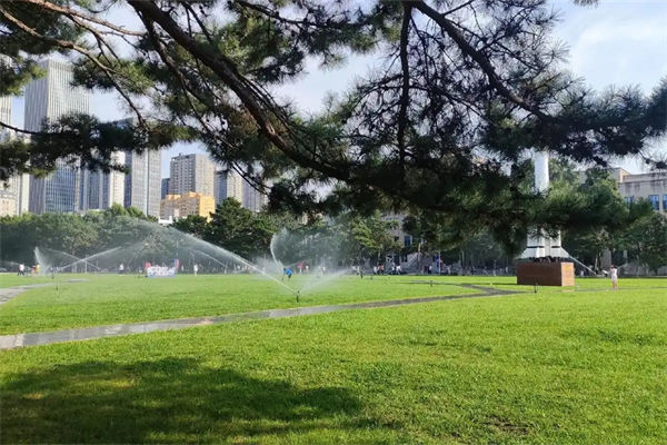 623分能上什么大學?