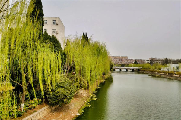 公辦二本大學最低分是多少?