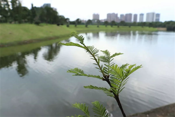 衡陽師范學院是幾本?