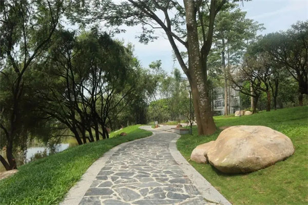 東莞理工學(xué)院是幾本?