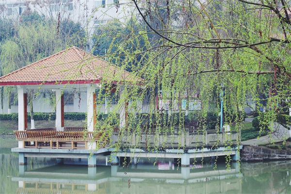 四川音樂學(xué)院是幾本?