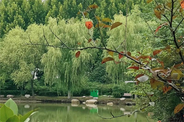 河南農業大學怎么樣?