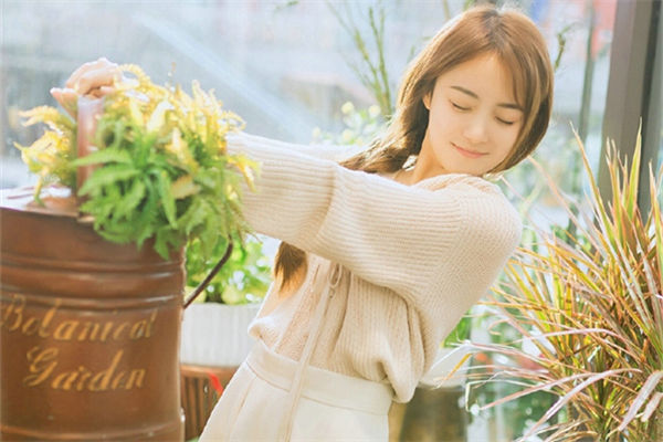 海藻面膜用法是什么?