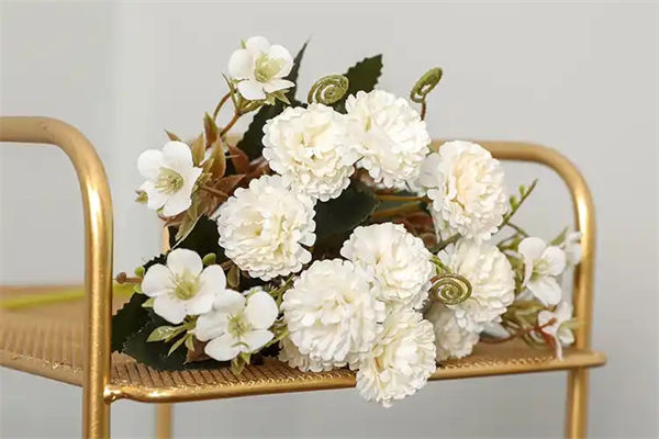 康乃馨一般是送給誰的?