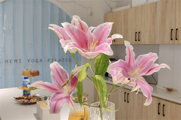 香水百合花語是什么?