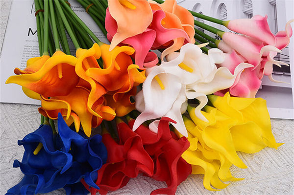 馬蹄蓮的花語是什么?